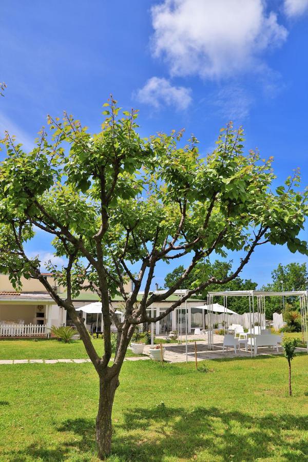 Tenuta Le Fornacelle Torre del Greco Bagian luar foto